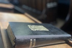 IMG_0552